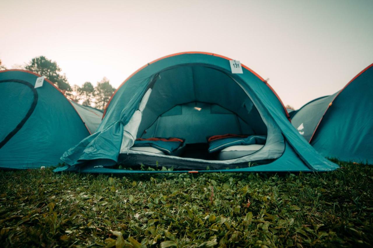 The Esn Kingsday Campsite Амстердам Екстер'єр фото